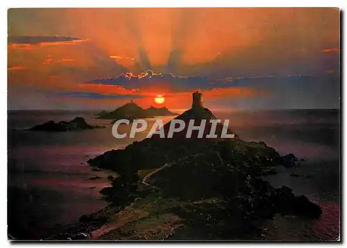 Cartes postales moderne La Medi Terranee Corse Ile de Beaute Coucher de soleil