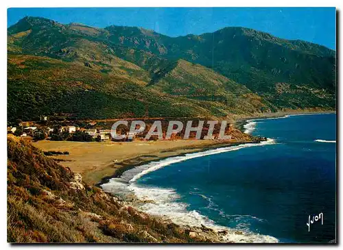 Cartes postales moderne Couleurs et Lumiere de France La Corse Oasis de Beaute Albo Corse Cap Corse