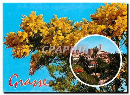 Moderne Karte Grasse Cote d'Azur Cite des fleurs Capitale des parfums