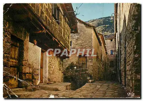Cartes postales moderne Les Gorges du Tarn Sainte Enimie Cite medievale Une vieille ruelle pittoresque