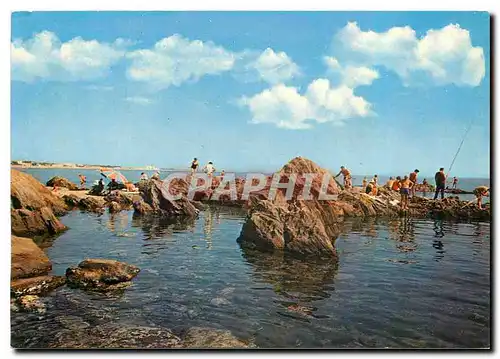 Cartes postales moderne Argeles sur Mer Le Racou Les rochers au fond les tours d'Argeles