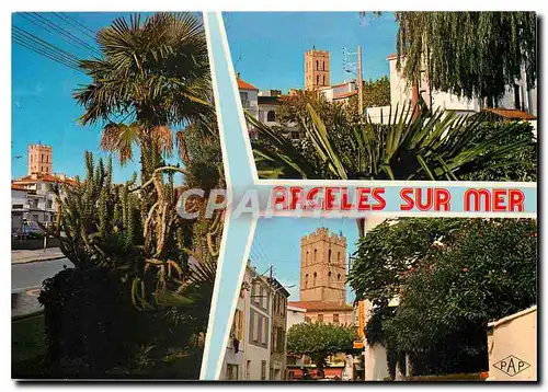 Cartes postales moderne Argeles sur Mer Souvenir
