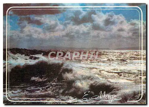 Cartes postales moderne Regard sur le Littoral de la Mer du Nord et de la Manche