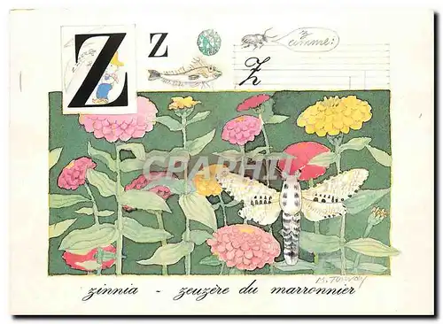 Cartes postales moderne Alphabet de la Nature Z Zinnia Marronnier