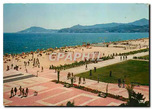 Moderne Karte Cote Catalane Argeles sur Mer Pyrenees Orientales La plage et la promenade au fond la chaine des