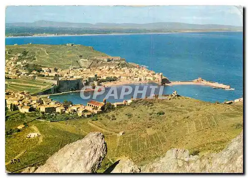 Cartes postales moderne En Parcourant la Cote Vermeille Collioure P O Vue panoramique sur Collioure au fond la Plage d'a
