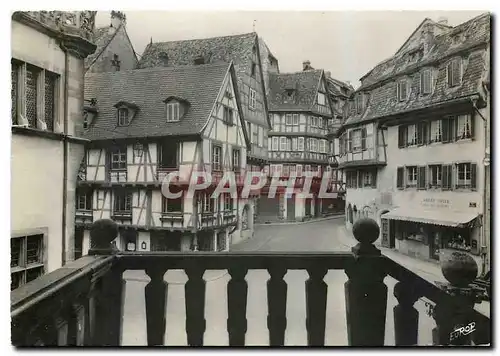Cartes postales moderne Colmar h Rhin Vieilles Maisons et Auberge du Fer Rouge