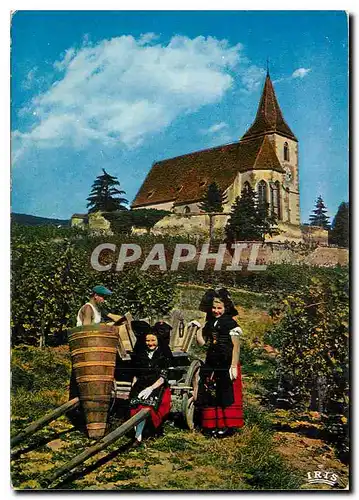 Cartes postales moderne L'Alsace Pittoresque Vendanges a Hunawihr devant l'eglise fortifiee