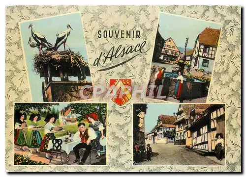 Moderne Karte Souvenir d'Alsace Vieille Fontaine Hans im Schnokeloch Maison Alsacienne