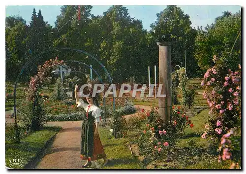 Cartes postales moderne L'Alsace Pittoresque La roseraie de Saverne