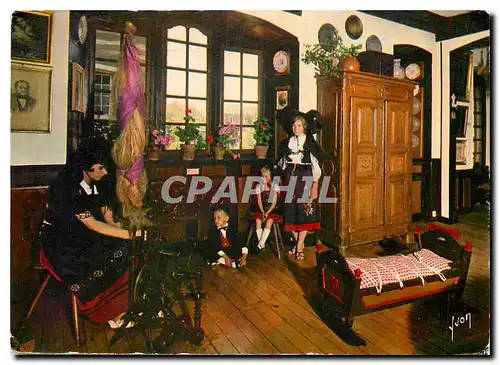 Cartes postales moderne Couleurs et Lumiere de France L'Alsace Interieur Alsacien du Musee d'Altkirch Haut Rhin