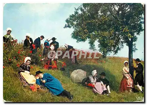 Cartes postales moderne La Lorraine Pittoresque Scene champetre