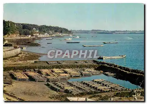 Cartes postales moderne La Bretagne en Couleurs Le Golfe du Morbihan Parc a huitres Ostreiculture
