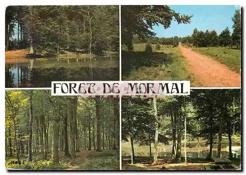Cartes postales moderne Foret de Mormal Etang David et Arboretum