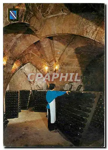 Cartes postales moderne La Champagne Caves a Champagne