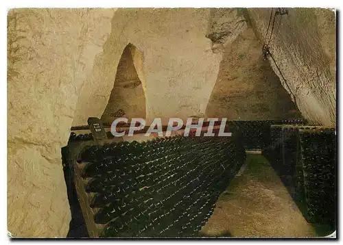 Cartes postales moderne La Champagne Caves de Champagne Crayeres Gallo Romaines