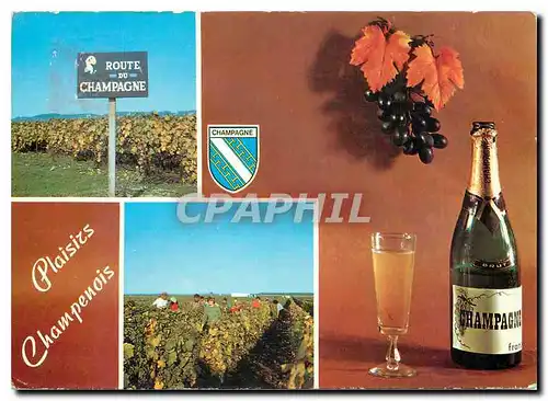 Cartes postales moderne Plaisirs Champenois La route du Champagne Scenes de vendanges