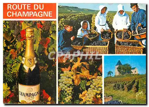 Moderne Karte Couleurs et Lumiere de France La Route du Champagne Scenes de Vendagnes en Champagne