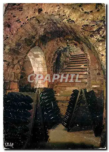 Cartes postales moderne Caves Du Champagne Taittinger a Reims Crypte de l'abbaye de Saint Nicaise