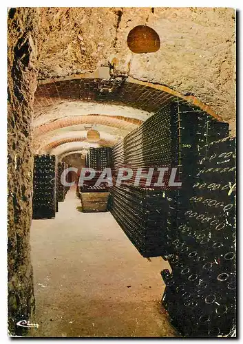 Cartes postales moderne Une ceve en Champagne Marne