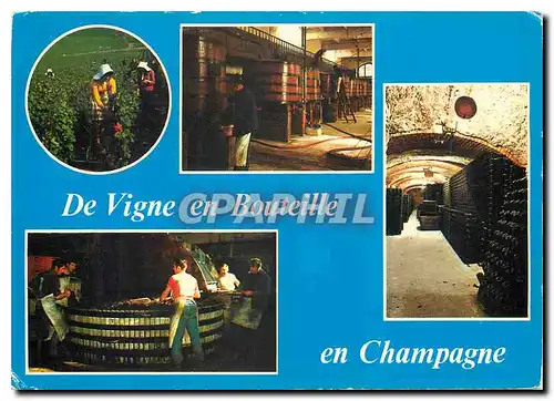 Cartes postales moderne De la vigne en Bouteille Vendanges Le pressoir Les caves interieur
