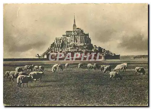 Cartes postales moderne Mont Saint Michel cote Est