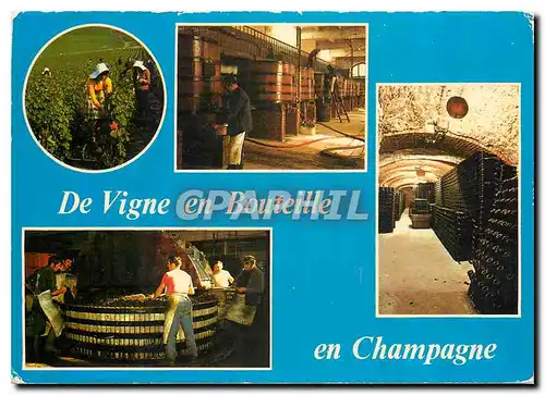 Cartes postales moderne De la Vigne en Bouteille Vendanges Le Pressoir Les caves interieur