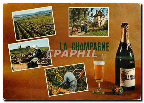 Cartes postales moderne La Champagne