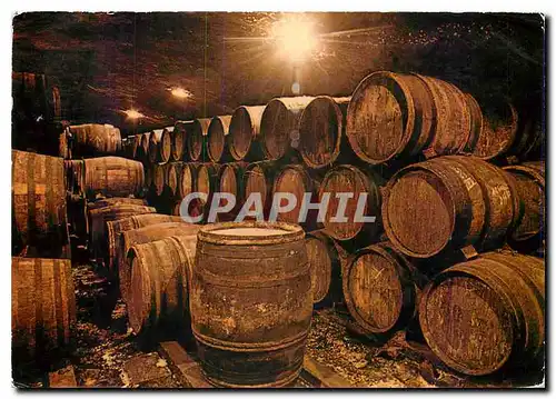 Cartes postales moderne Le Roussillon terroir des Rivesaltes Caves en Roussillon