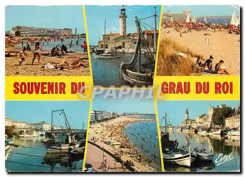 Cartes postales moderne Le Languedoc le Grau du Roi Gard Divers aspects de la nouvelle plage