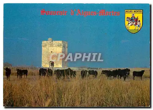 Cartes postales moderne Aigues Mortes La Tour Carbonniere Ancien Poste de Veille