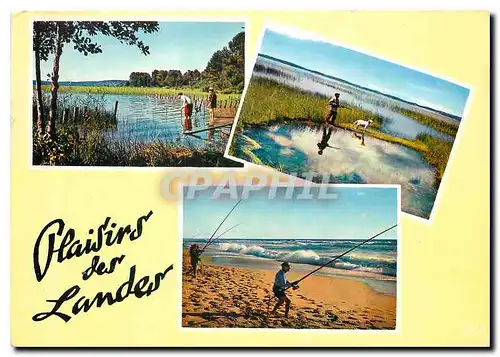 Cartes postales moderne Plaisirs des Landes