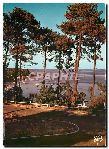 Cartes postales moderne Bassin d'Arcachon Gironde Echappee sur le Bassin