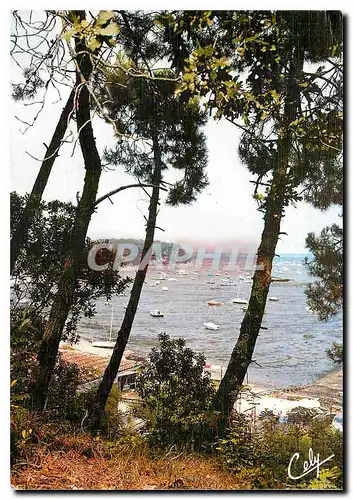 Cartes postales moderne Bassin d'Arcachon Behappee sur le Bassin