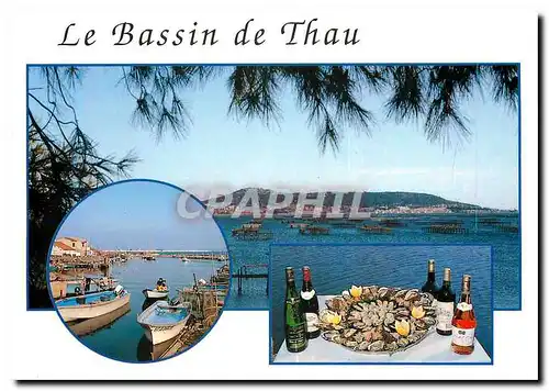 Moderne Karte Le Bassin de Thau Herault Sete et Marseillan Plage