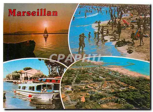 Cartes postales moderne Lumiere et couleurs de l'Herault Marseillan