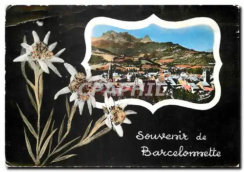 Cartes postales moderne Barcelonnette B A