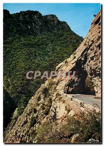 Cartes postales moderne Environs de Castellane Taulanne Alp de Hte Prov Les Clues Route Napoleon