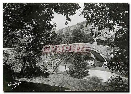 Cartes postales moderne Castellane Pont sur le Verdon et au fond la Tour pentagnale