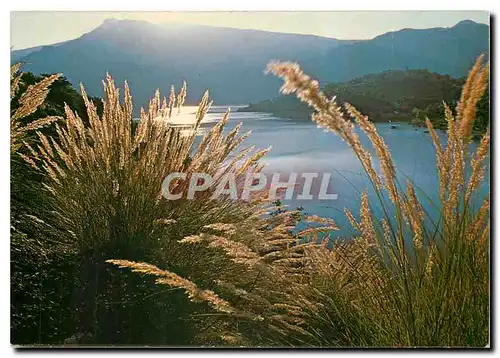 Cartes postales moderne Lac de Castillon Alpes de Haute provence Lac artificiel sur la Haute callee du Verdon