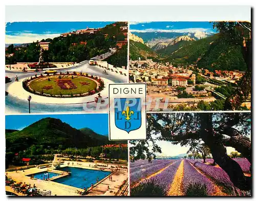 Moderne Karte Digne Alpes de Haute Provence Vue generale Rond Point Piscine Champ de lavande