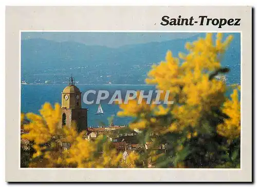 Cartes postales moderne Saint Tropez Var Vue generale