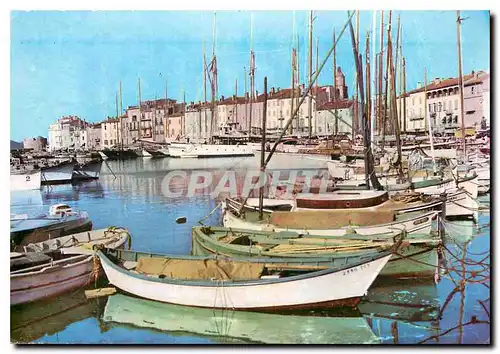 Cartes postales moderne Reflets de la Cote des Maures Saint Tropez Var Le Port