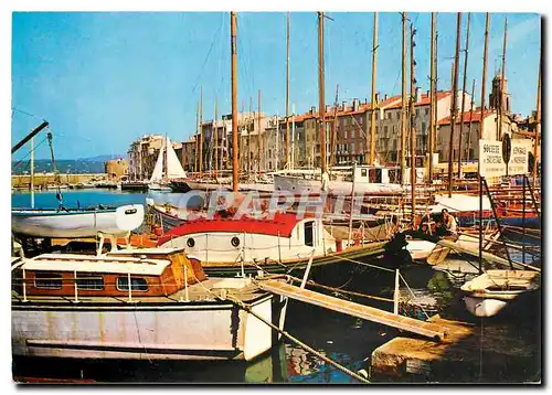 Cartes postales moderne Saint Tropez Var Le Port