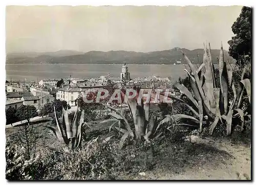 Cartes postales moderne Les Bords de la Riviers Saint Tropez Var Vue generale