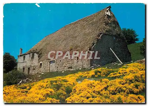 Cartes postales moderne Le Haut vivarais Vieille ferme au toit de chaume