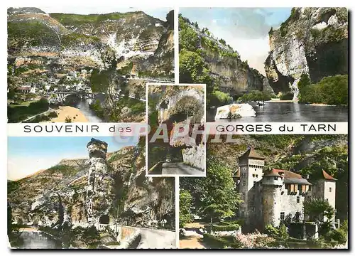 Cartes postales moderne Les Gorges du Tarn St Chely di Tarn Les Detroits Encorbeillement a la Caze