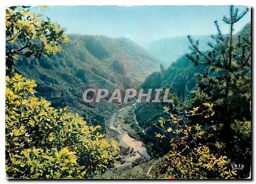 Cartes postales moderne Les Gorges du Tarn Le Point Sublime