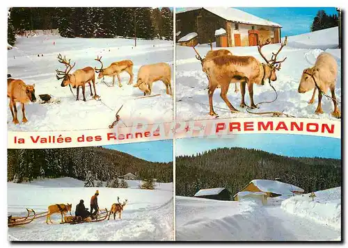 Cartes postales moderne Le Jura en Hiver La Vallee des Rennes Premanon les Rousses