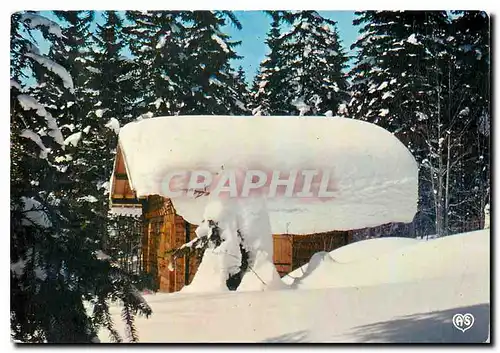 Cartes postales moderne La Franche Comte Pittoresque Les Rousses Le chalet sous la neige